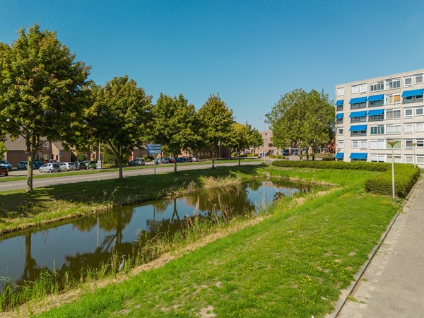 Medium property photo - Troelstrapad 11, 3201 WL Spijkenisse